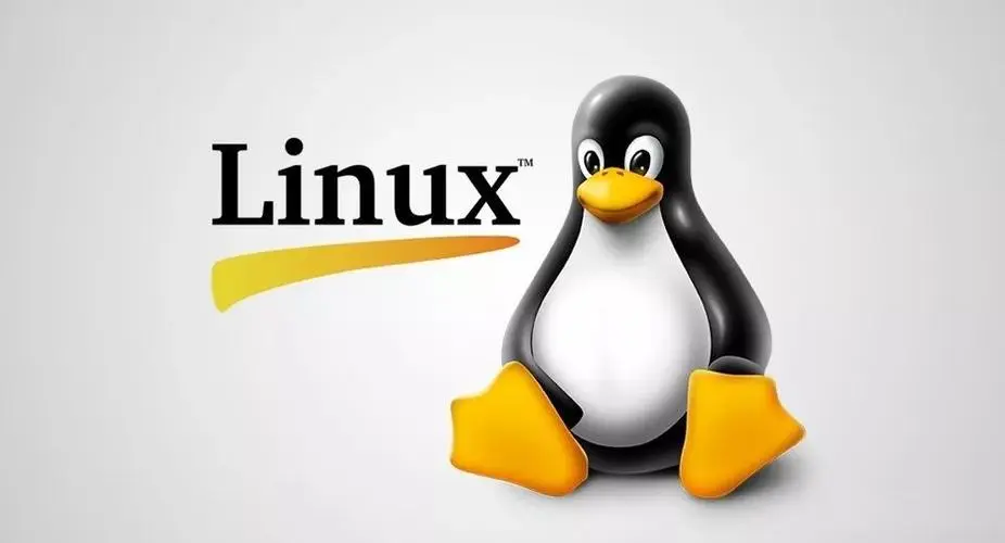 Linux学习笔记
